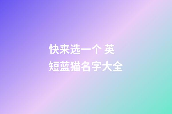 快来选一个 英短蓝猫名字大全